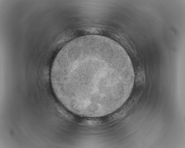 X0000110980466200907310953