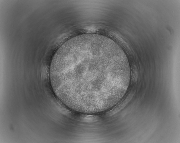 X0000110980467200907310953