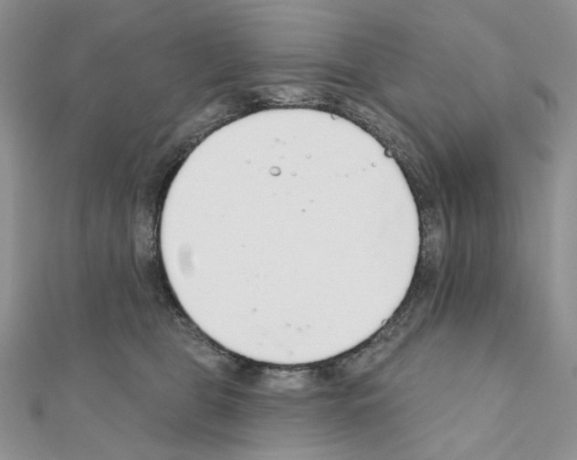 X0000110980469200907310953