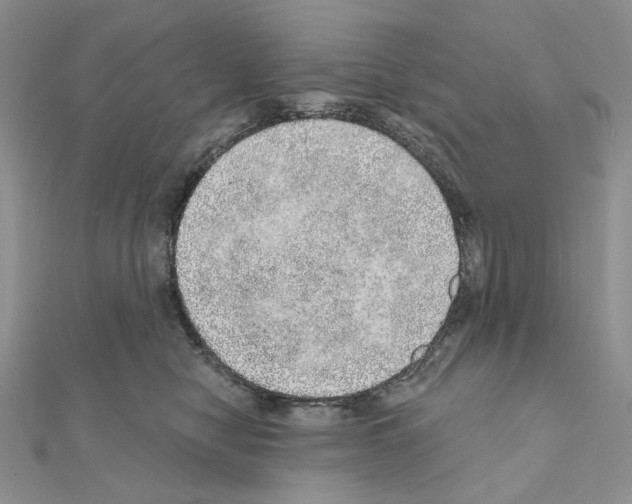 X0000110980470200907310953