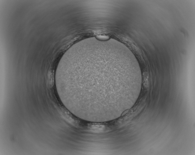 X0000110980471200907310953