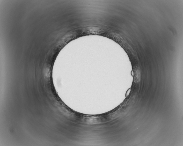 X0000110980472200907310953
