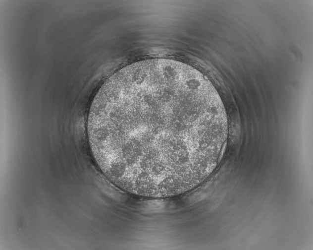 X0000110980473200907310953