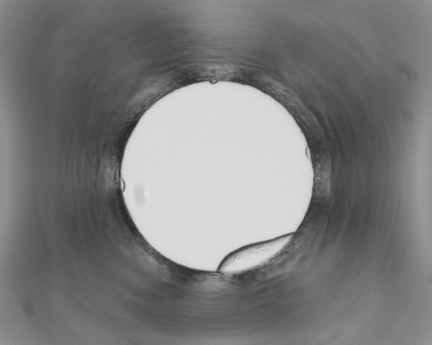 X0000110980474200907310953