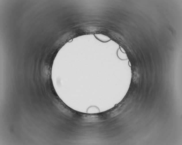 X0000110980476200907310953