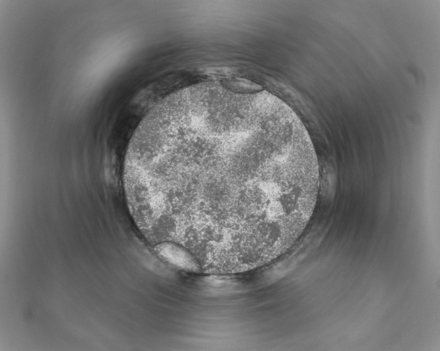 X0000110980477200907310953