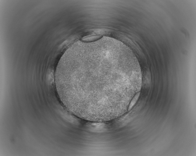 X0000110980478200907310953