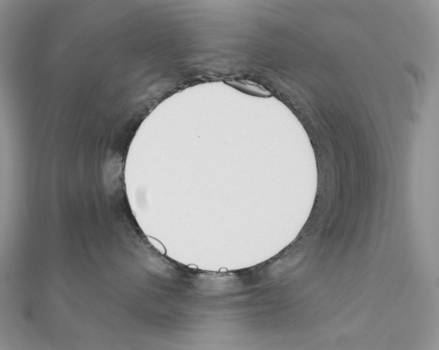 X0000110980480200907310953