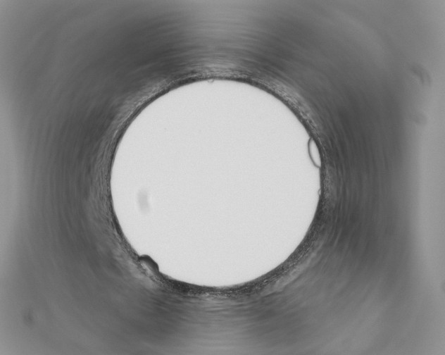 X0000110980481200907310952