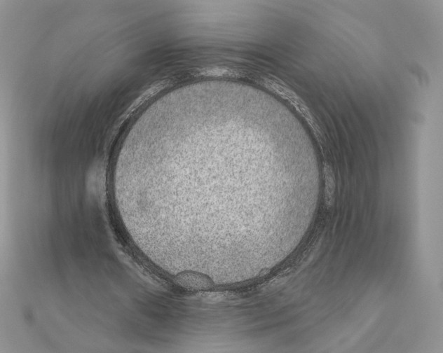 X0000110980482200907310952