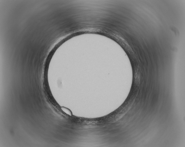 X0000110980484200907310952