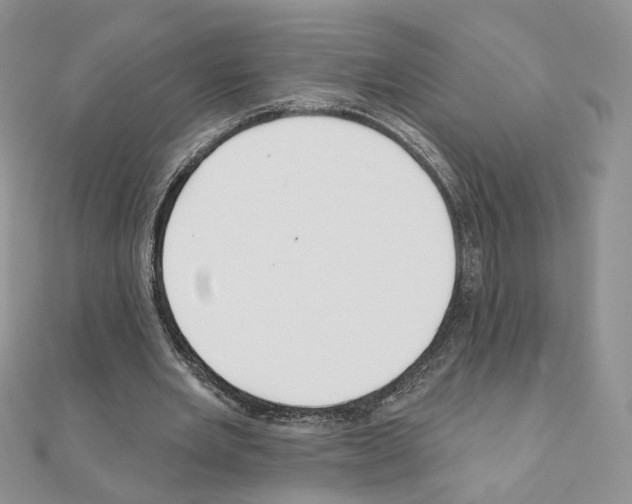 X0000110980485200907310952