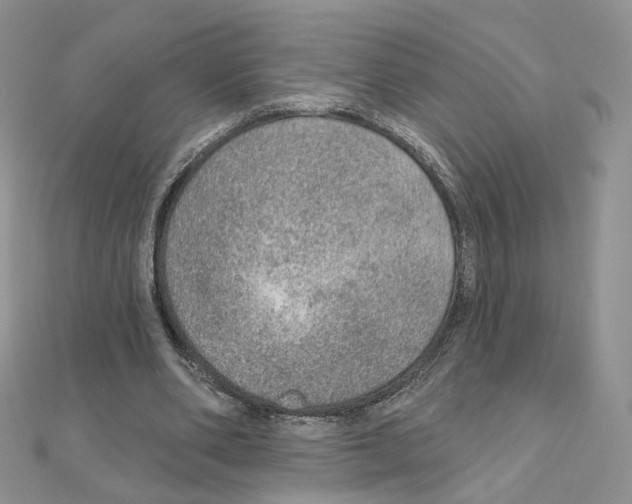 X0000110980486200907310952