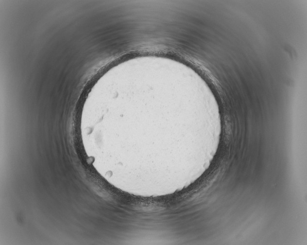 X0000110980487200907310952