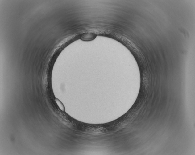 X0000110980488200907310952
