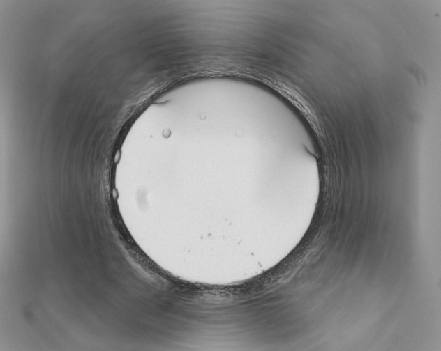 X0000110980489200907310952