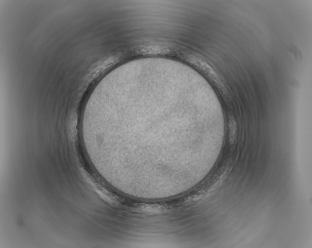 X0000110980490200907310952