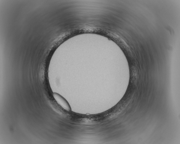 X0000110980496200907310952