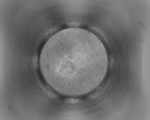 X0000110980498200907310952