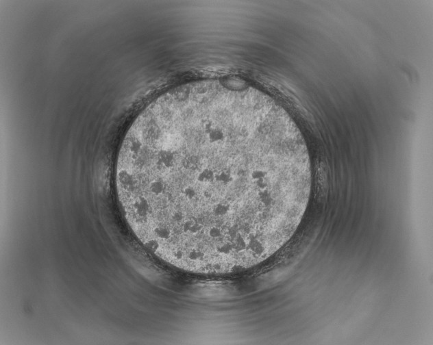 X0000110980499200907310952