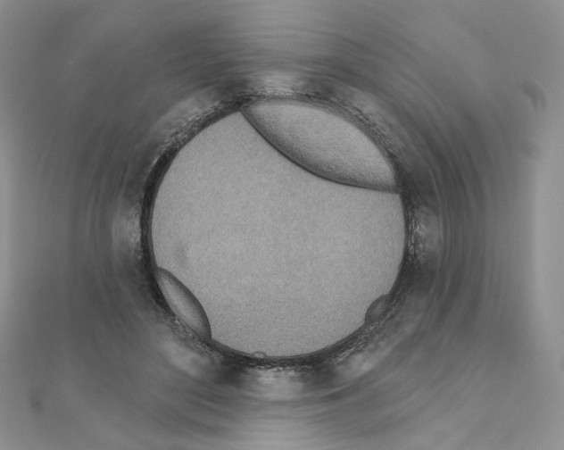 X0000110980500200907310952
