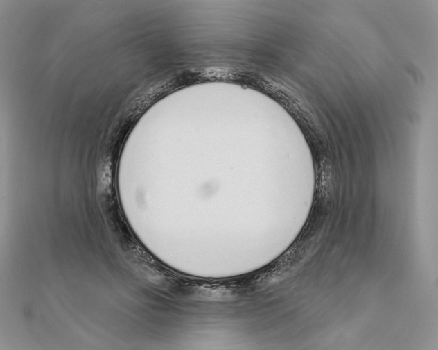 X0000110980502200907310952