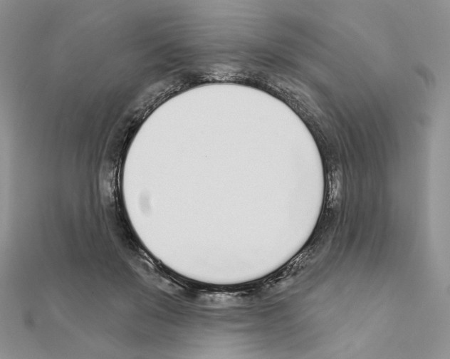 X0000110980503200907310952