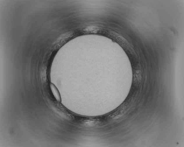 X0000110980504200907310952