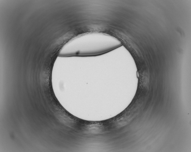 X0000110980505200907310952