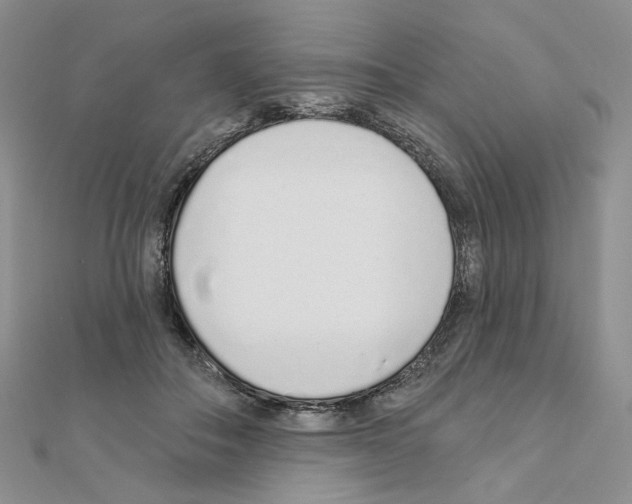 X0000110980506200907310952
