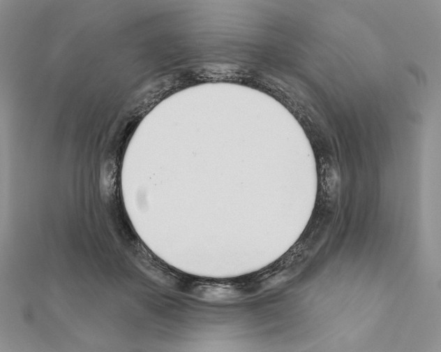 X0000110980507200907310952