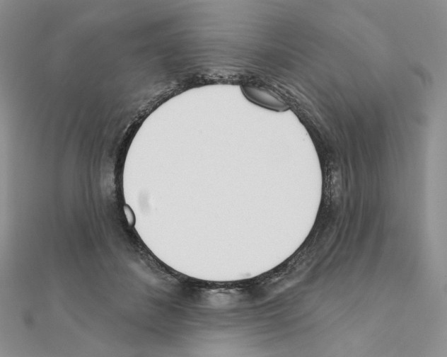 X0000110980508200907310952