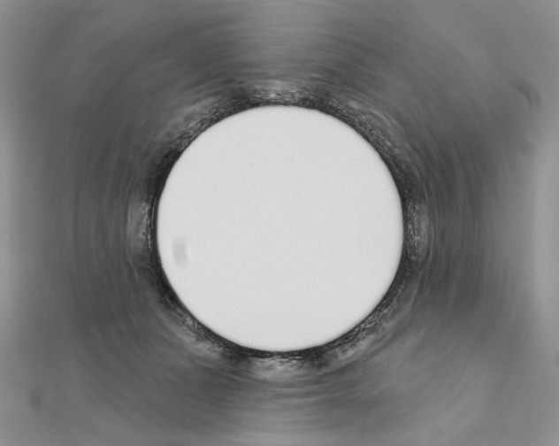 X0000110980511200907310952