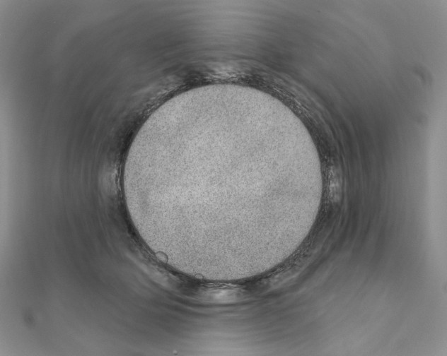 X0000110980514200907310952