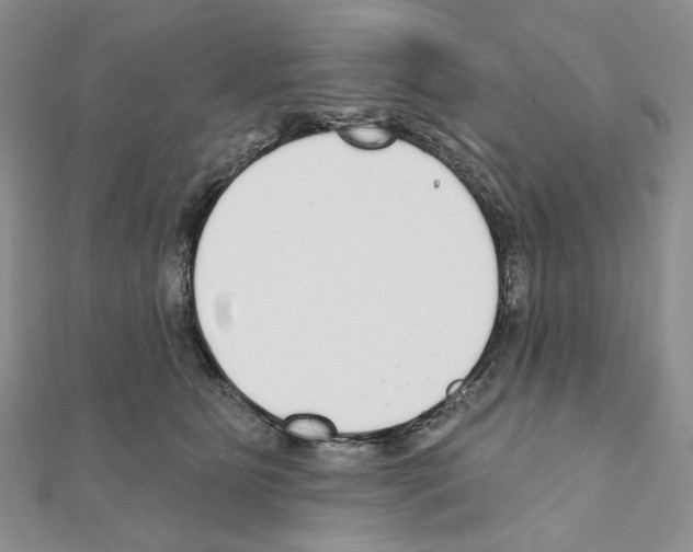 X0000110980515200907310952