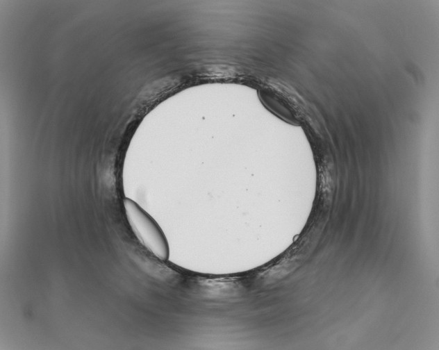 X0000110980516200907310952