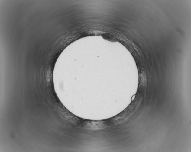 X0000110980517200907310952