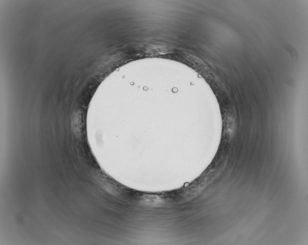 X0000110980519200907310952