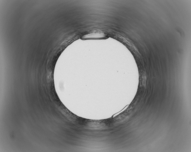 X0000110980521200907310952