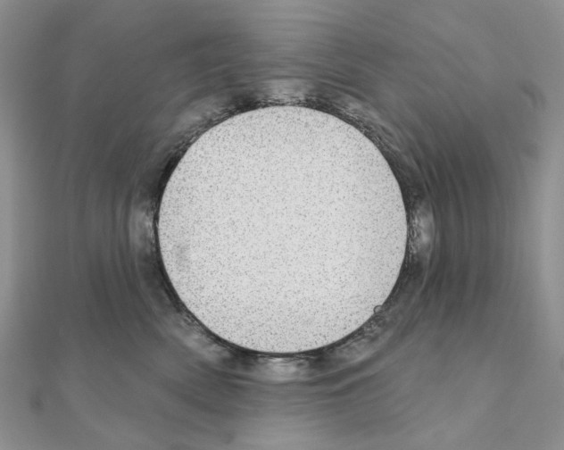 X0000110980522200907310952