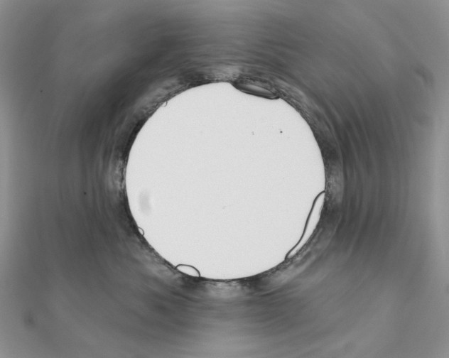 X0000110980525200907310952