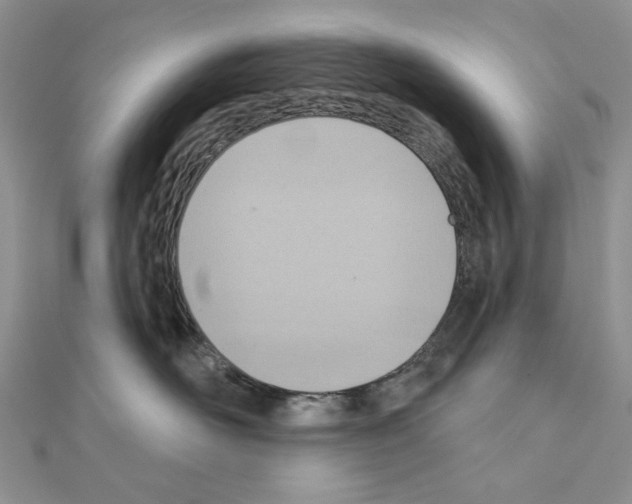 X0000110980526200907310952