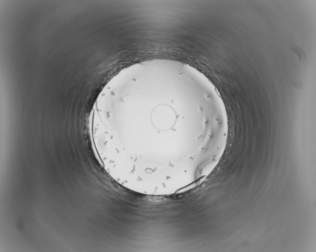 X0000110980528200907310952