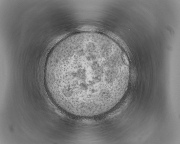 X0000110980529200907310951