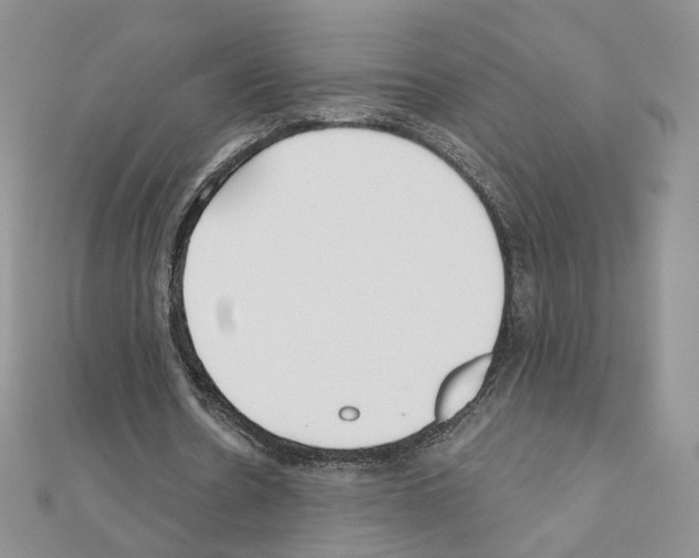 X0000110980530200907310951