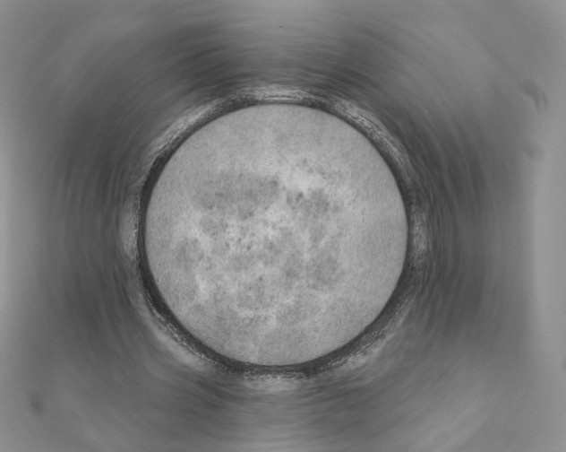 X0000110980533200907310951