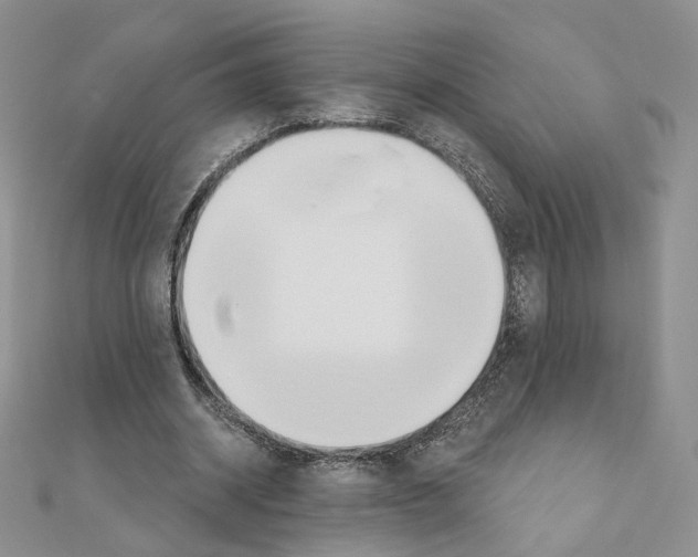 X0000110980534200907310951