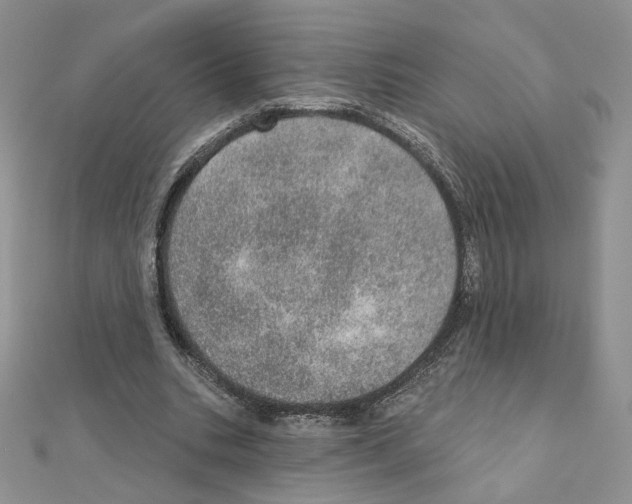 X0000110980535200907310951