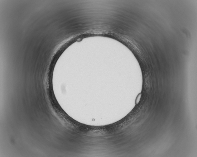 X0000110980536200907310951