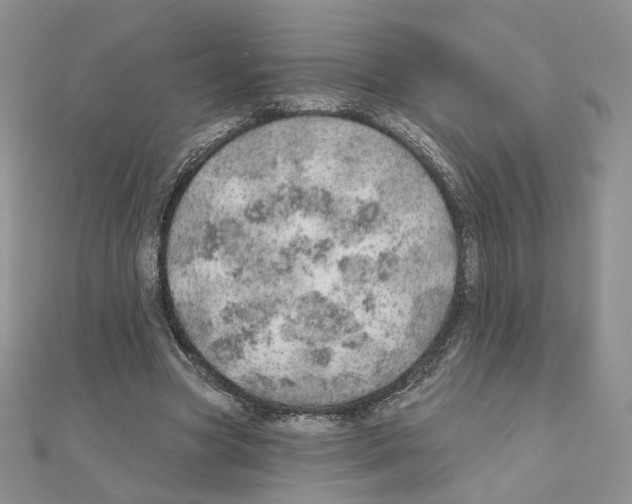 X0000110980537200907310951